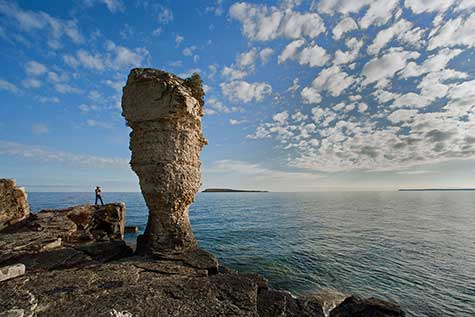 Bus to bruce from toronto 
