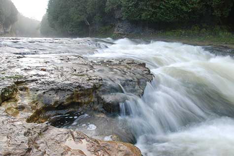 Bus to Elora from toronto 