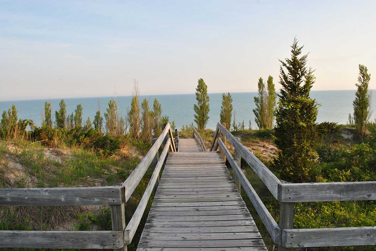 Bus to pinery from toronto 